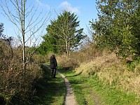 Bois de Santec, près de la mer.