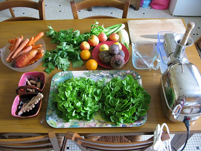 Extracteur de jus ANGEL et légumes prêts à donner le maximum de jus !