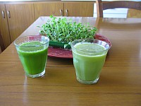 Jus verts