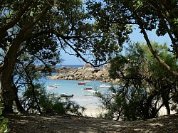Brignogan